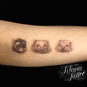 フェレットのポートレートタトゥー