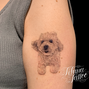 トイプードルのファインライン・タトゥー