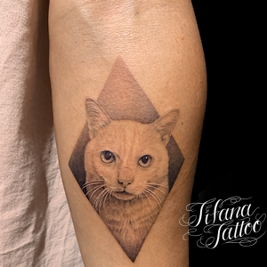 白猫のファインライン・タトゥー