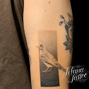 鳥のファインライン・タトゥー