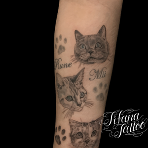 猫|肉球のタトゥー