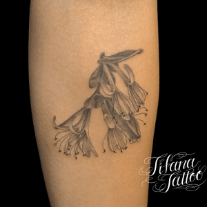 スイカヅラのボタニカル・タトゥー