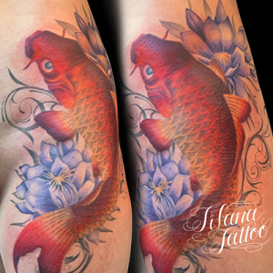 鯉と睡蓮のタトゥー