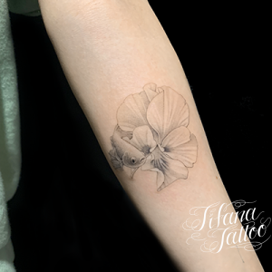 熱帯魚|ベタとパンジーのファインライン・タトゥー