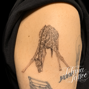 生まれたてのキリンのファインライン・タトゥー