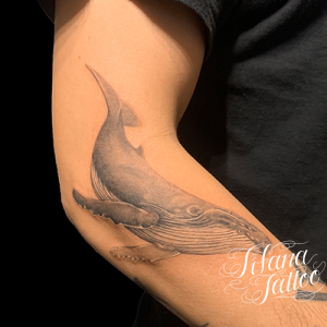 鯨のファインライン・タトゥー