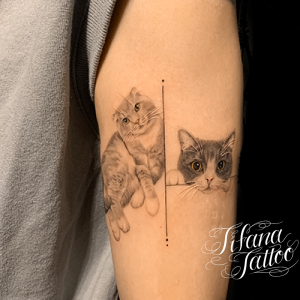 愛猫2匹のポートレート・タトゥー