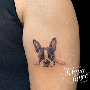 フレンチブルドッグのポートレート・タトゥー