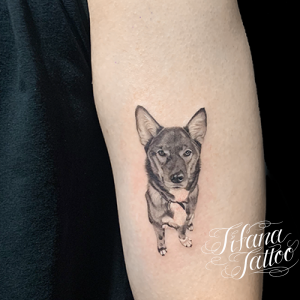 愛犬のタトゥー