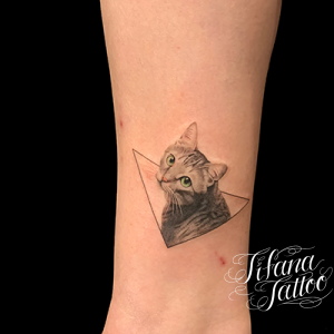 CAT TATTOO