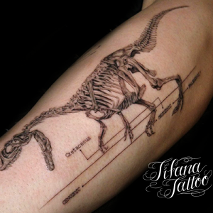 恐竜のファンライン・タトゥー