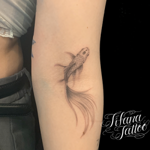 金魚のファインライン・タトゥー