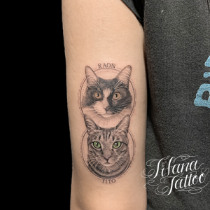 愛猫２匹のポートレートタトゥー