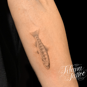 ヤマメのファインライン・タトゥー