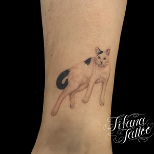 猫のポートレートタトゥー